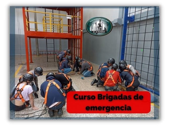 Curso Brigadas de emergencia